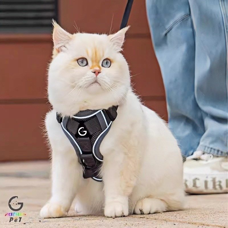 猫咪牵引绳背心防挣脱外出专用遛猫绳宠物背带链子可调节遛猫神器