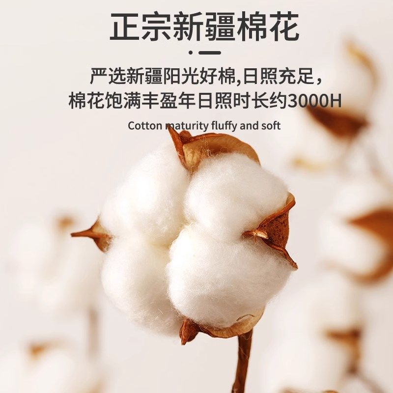 a类母婴纯棉夹棉床笠2025新款四季通用床罩全包加厚床垫套保护罩