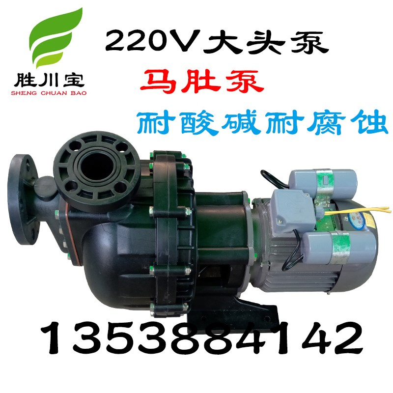胜川宝 0.75KW 塑料自吸泵220V耐酸碱废液提升泵电动耐腐蚀大头泵