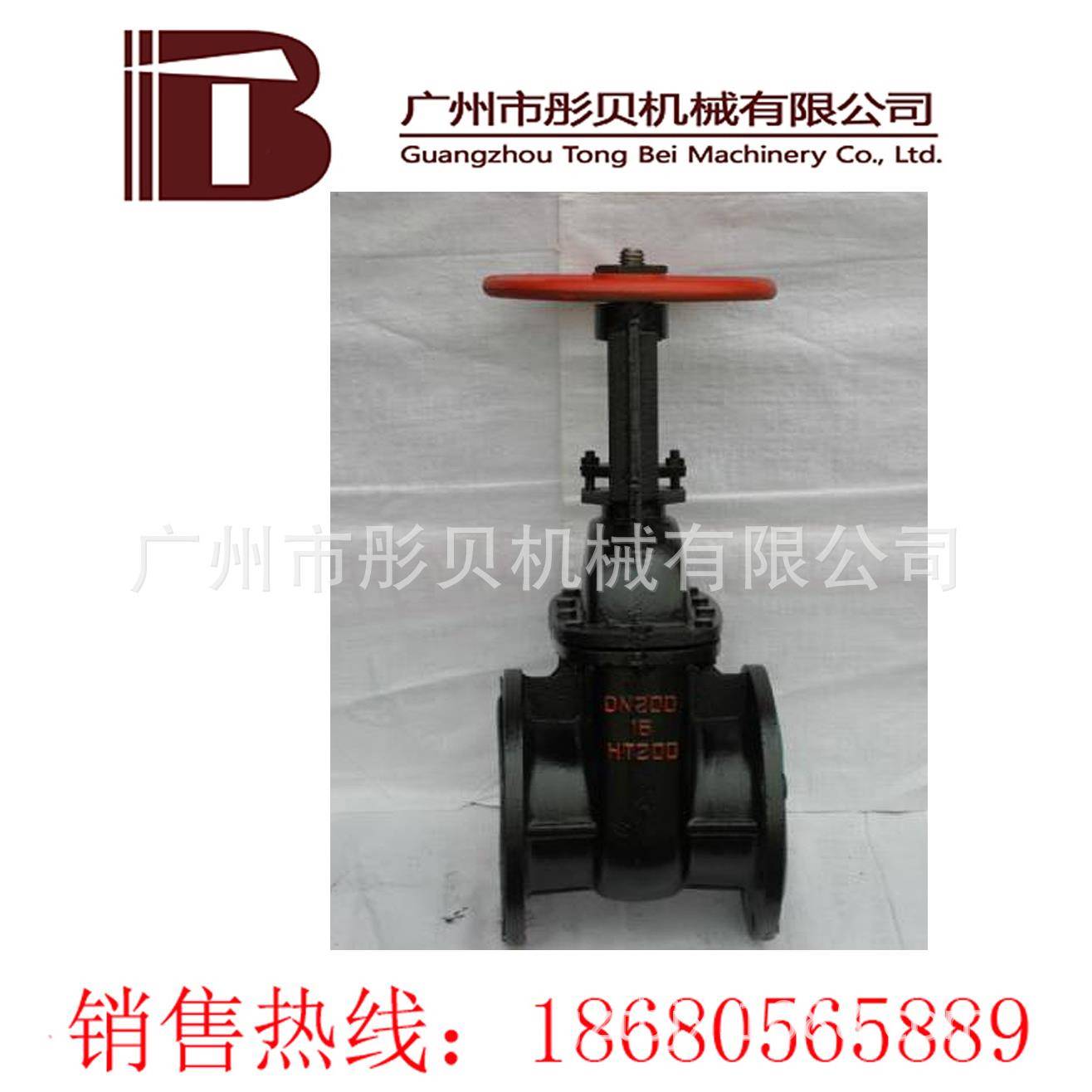 Z41T明杆铸铁闸阀 Z41T-10 DN150