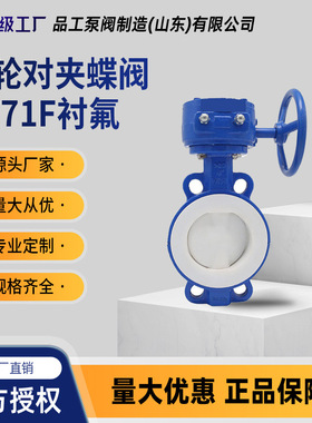 D371F4-16C衬氟涡轮对夹蝶阀铸钢不锈钢阀门腐蚀性介质DN50-1200