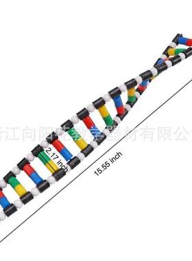 厂家销售33307 DNA双螺旋结构模型生物医疗教学模型系列教学仪器