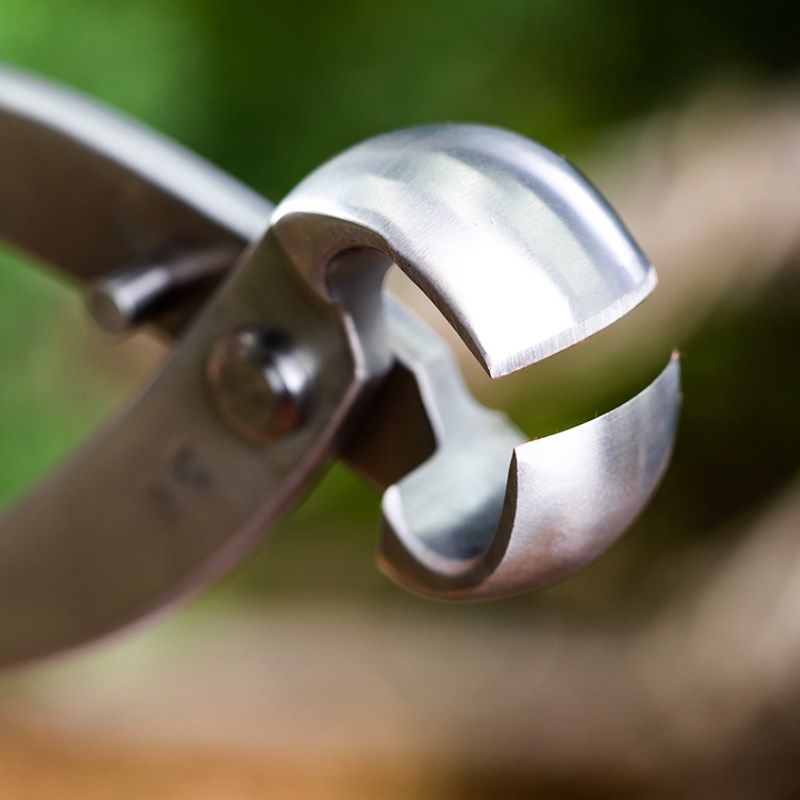 鼎木不锈钢球节剪球型钳球形枝剪刀专业盆景修剪造型制作专用工具,童鞋/婴儿鞋/亲子鞋,量脚器,淘宝优惠券,粉丝福利购,淘宝优惠卷