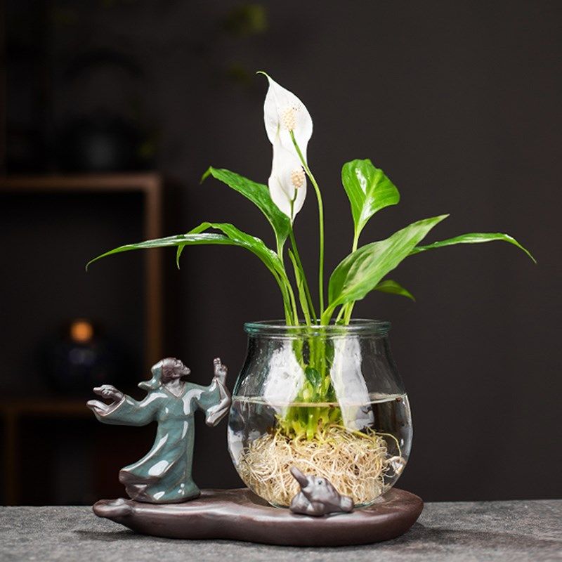 创意水培白掌玻璃瓶透明水养绿萝花瓶客厅植物摆件情侣可爱小花,童鞋/婴儿鞋/亲子鞋,量脚器,淘宝优惠券,粉丝福利购,淘宝优惠卷