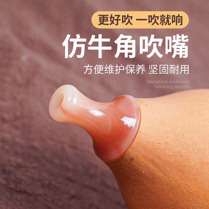 葫芦丝小学生专用c调降b调天然紫竹胡葫丝初学儿童学生专用f调d调