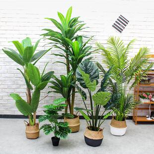 北欧仿真巴西铁阔叶龟背装饰绿植盆景客厅落地室内盆栽富贵葵摆设