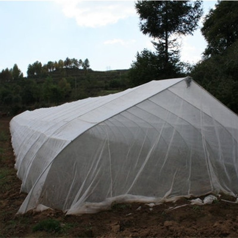 种菜防虫罩阳台种菜农用尼龙网防虫网罩户外菜地果园果树防鸟用罩