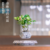 创意磁悬浮盆栽磁悬浮花盆高档家居创意摆件时尚 轻奢风植物新奇物