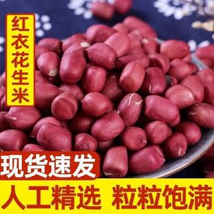 云南特产红皮花生小粒红衣生花生仁新鲜批发无添加煲汤熬粥好原料