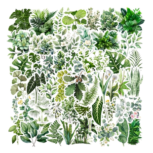 50张卡通INS风清新简约透明一树一叶绿植植物盆栽手账造景贴纸笔记本电脑手账本手机壳装饰头盔文具防水贴画