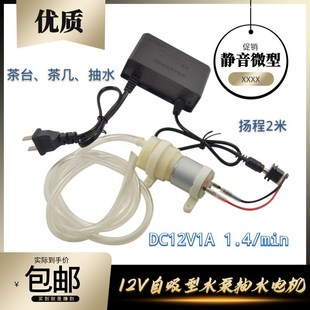 12V隔膜泵抽水机 迷你水泵 小微型水泵家用鱼缸水井抽水茶具水泵