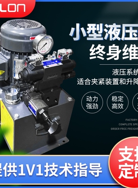 液压站总成小型动力单元液压泵油压机油压站配件液压系统高压20L