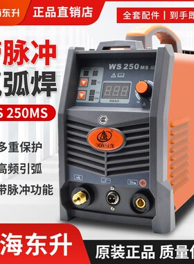 上海东升WS250MGA/300/400ST氩弧焊电焊机家用两用逆变直流工业级
