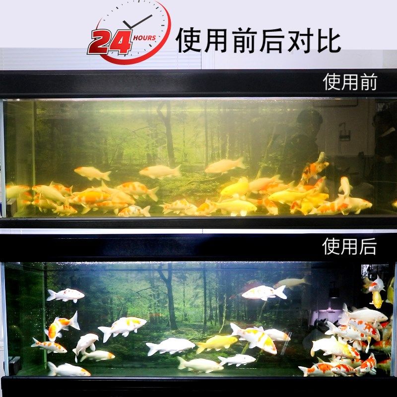 十川鱼缸专用蛋白棉去除黄水除臭清洁过滤污力丸净化水质水族箱,宠物/宠物食品及用品,过滤设备,淘宝优惠券,粉丝福利购,淘宝优惠卷