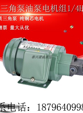 摆线泵TOP-12A三角齿轮泵TOP11A/13A机床润滑380V抽油泵电机1/4HP