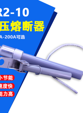 BR2-10电容式高压限流熔断器10KV50 80A BR2W-7 BRW3保险管3-200P