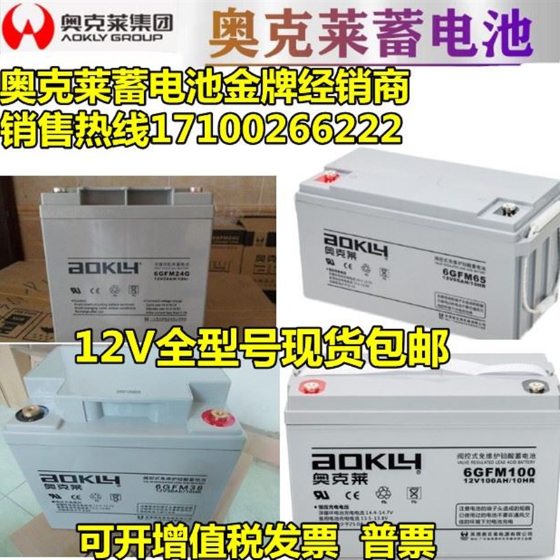 AOKLY奥克莱蓄电池6FM-24 12V18AH20AH24AH38AH40AH65AH100AH120A