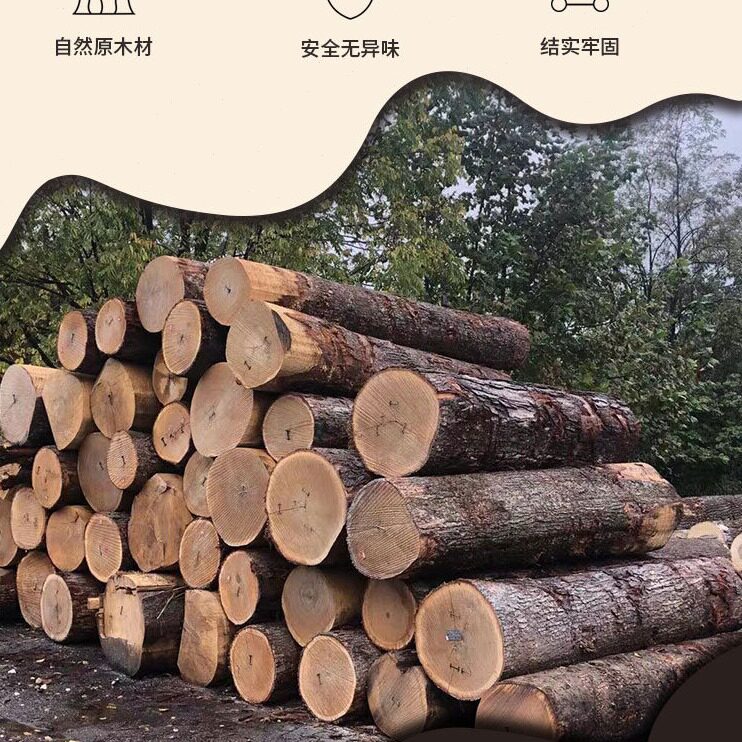 直销BG54橡木桶空桶雪莉木酒桶酒吧家用红酒白兰地威士忌玻璃泡酒