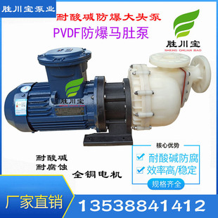 氟塑料自吸泵50032 胜川宝2.2KW PVDF防爆大头泵 马肚泵 污水泵
