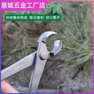 盆景工具球节剪日本球形树瘤球节钳盆景树枝修剪钳专业平口胡桃钳
