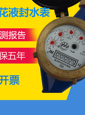 连云港浪花家用水表防带止回阀防冻坏防起雾液封高灵敏水表