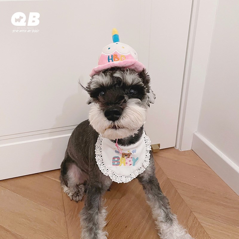 宠物狗狗猫咪生日口水巾帽子雪纳瑞比熊泰迪法斗柯基三角巾配饰