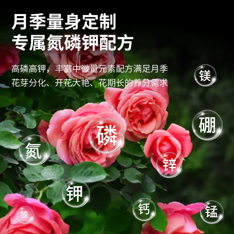 月季营养液月季花专用肥养花花肥料家用盆栽蔷薇花卉通用型水溶肥