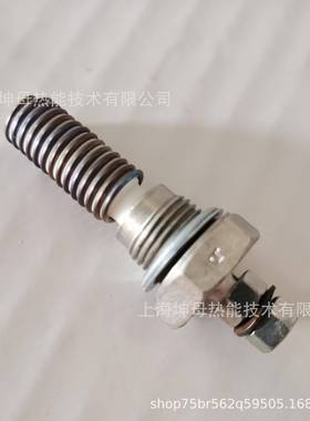 BERU-GH116-0102022202(116S)12V电极头|德国贝鲁电热塞