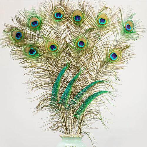 欧式艺术摆件孔雀羽毛花瓶孔雀毛真羽毛孔雀翎尾婚庆花瓶装饰品