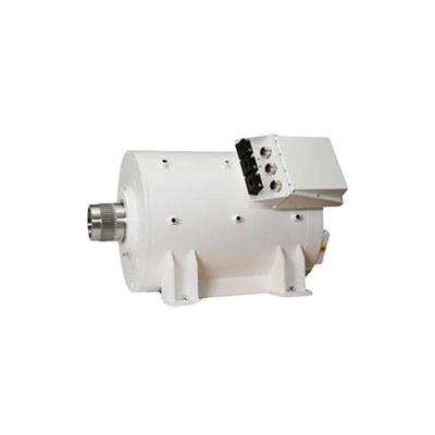 供应德国oswald弱磁区低维护电机