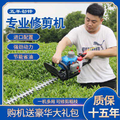 五羊进口绿篱修剪机茶树剪茶机大功率汽油园林绿化花园修枝机全新