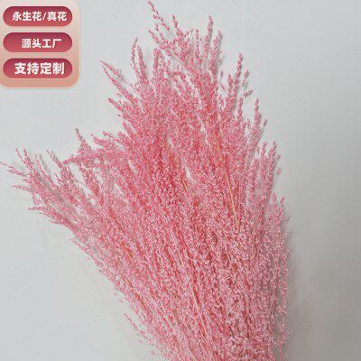 永生花百穗花DIY花材成品香薰蜡烛滴胶配材保鲜花云南材料