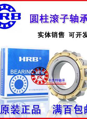 哈尔滨HRB圆柱滚子减速机轴承RN209 210 211 212 213 214 215 E M