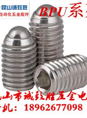 球头柱塞 替代 标准型 BPU3/4/5/6/8/10/12/16/20