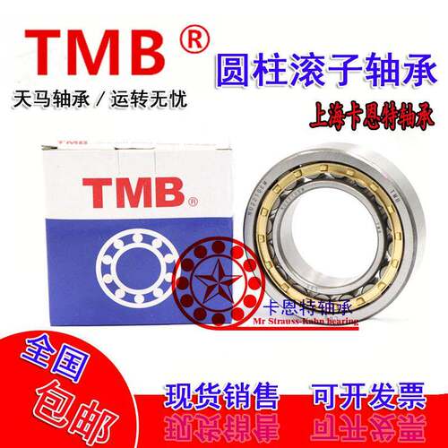 天马TMB圆柱滚子轴承 NJ NU N NF NUP 2304 2305 2306 2307E EM