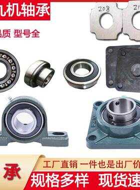 抛丸机配件F208 P210P212206 310轴承芯提升机绞龙羊毛垫橡胶垫