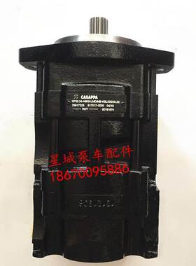 意大利CASAPPA凯斯帕一进两出双联齿轮泵KP30.34 卡斯帕KP30.38