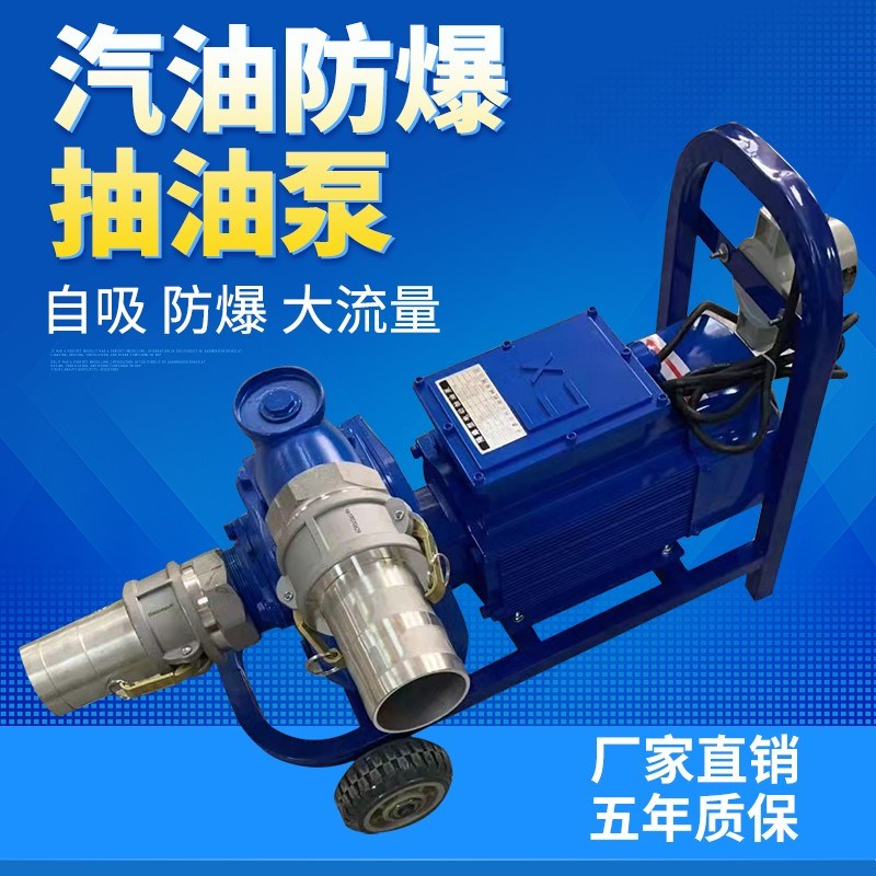 准王电动大流量抽油泵12v24v220v防爆柴油汽油防爆加油卸油导油泵
