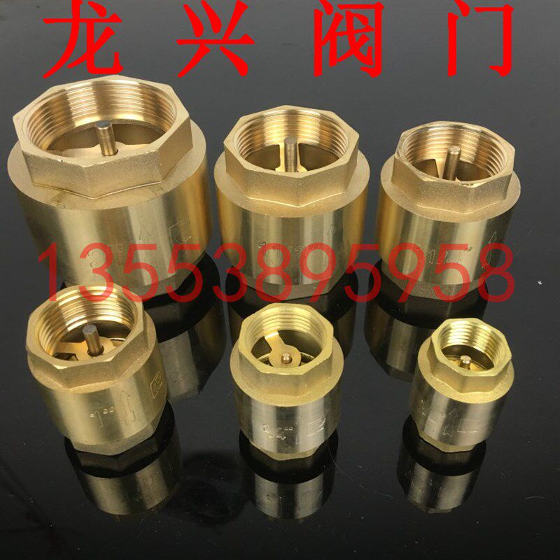 黄铜立式止回阀单向阀止逆阀水管立式止回阀4分6分1寸15 40 50 80
