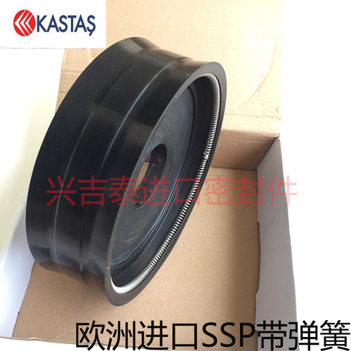 KASTAS-K26带弹簧SSP整体骨架160*20/175*20*40双向气缸活塞油封