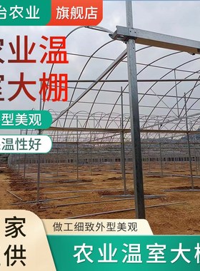热镀锌轻钢结构农业温室大棚 A字形屋脊采光性好连栋薄膜大棚