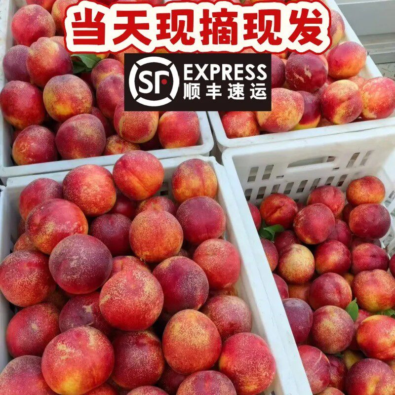 头茬黄心油桃麻脸新鲜脆甜水果当季整箱孕妇黄肉批发桃子新鲜顺丰