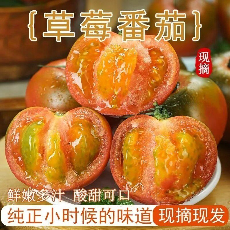 正宗盘锦碱地柿子草莓柿子铁皮西红柿铁皮油柿子水果番茄整箱包邮