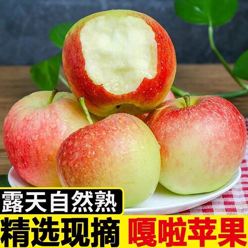 【新下树】2026现摘嘎啦苹果新鲜水果小苹果酸甜时令应季批发整箱