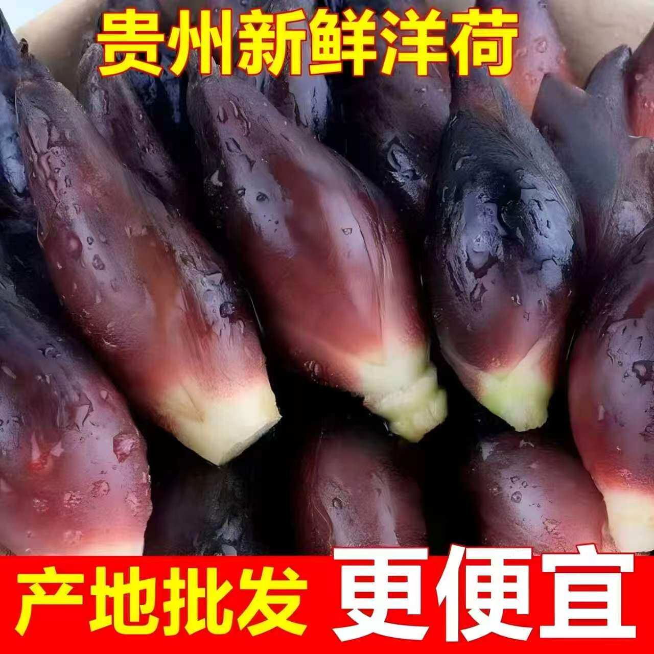 现货贵州特产新鲜阳荷姜野菜洋荷姜野生洋藿阳何茗荷蔬菜洋火阳荷