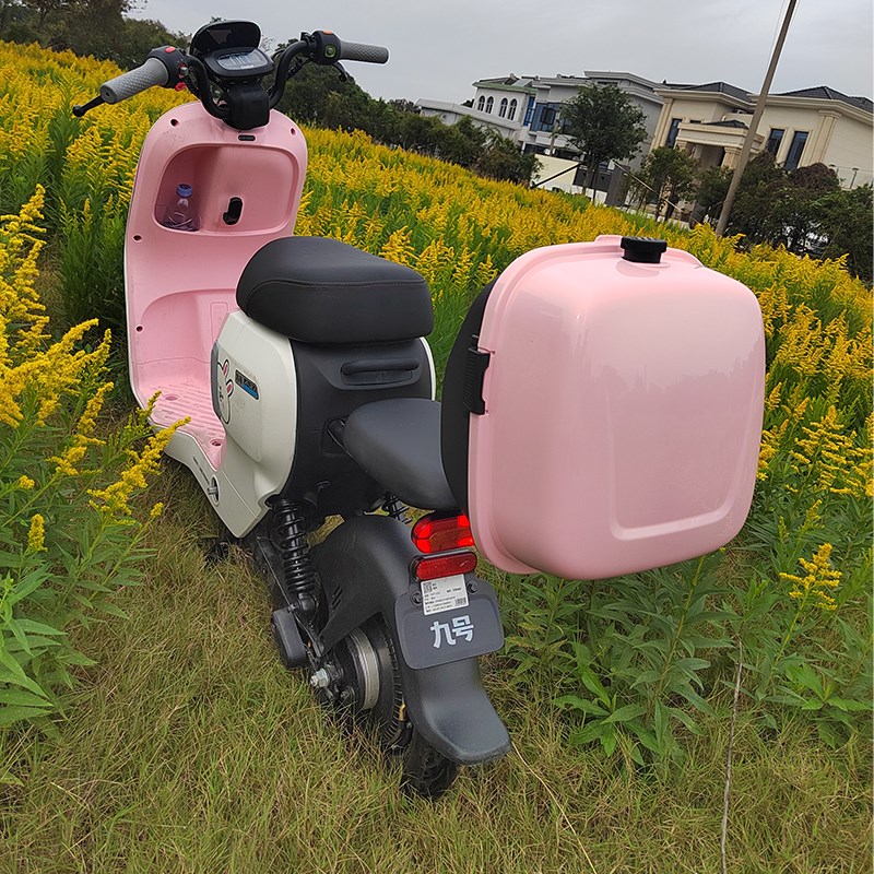 九号电动车A2z35C/A2z40/A2z60/A2z90/A2Z后备箱尾箱储物收纳箱子