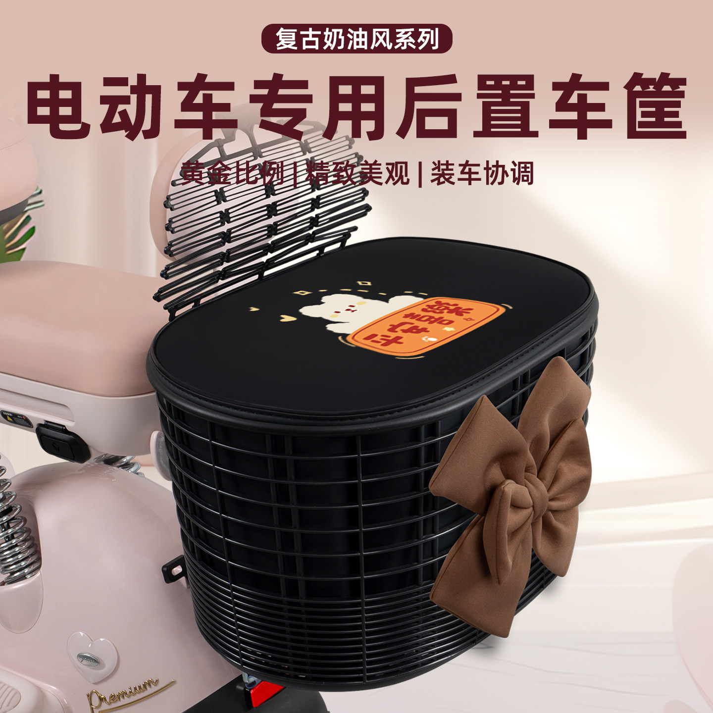 电瓶电动车专用后置车筐图片