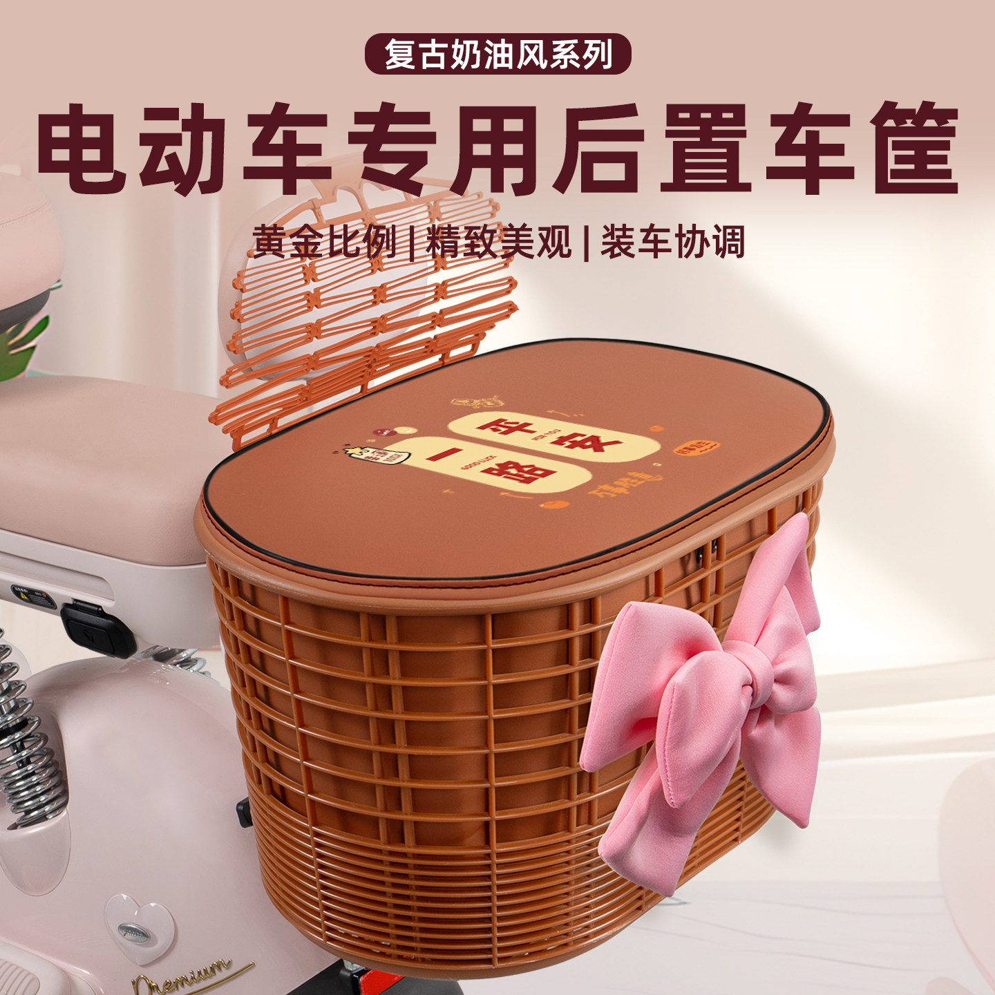 电瓶电动车专用后置车筐图片