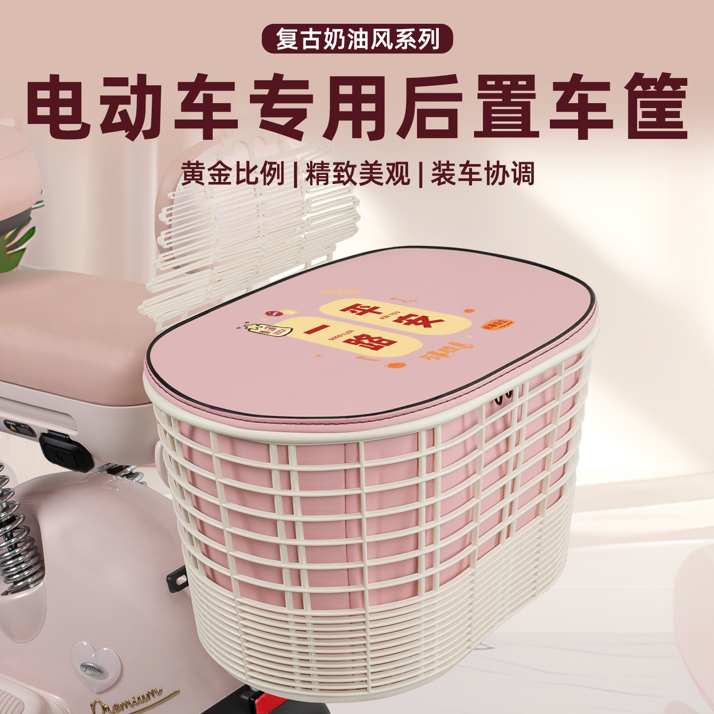 电瓶电动车专用后置车筐图片
