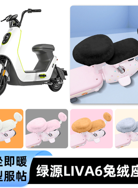 适用绿源liva6电瓶电动车冬座套坐垫套座位防雨罩防水防晒饰配件